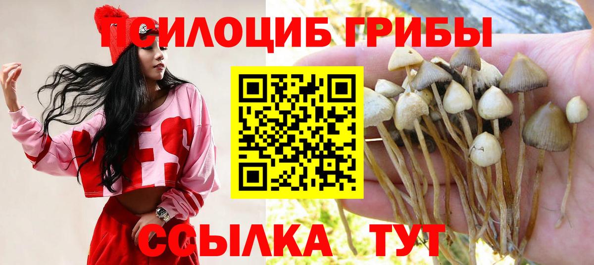 Псилоцибиновые грибы мицелий  Псилоцибиновые грибы мицелий  Вход с VPN  Елабуга 