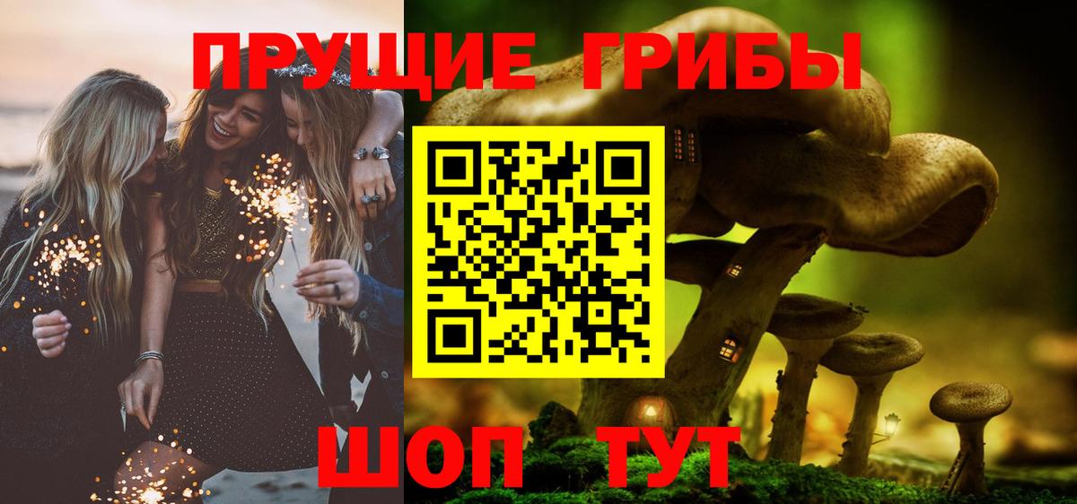 Псилоцибиновые грибы Cubensis Елабуга